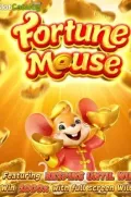 Fortune Mousse en ZZ7 COM